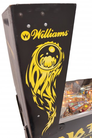 No Fear: Dangerous Sports Flipper