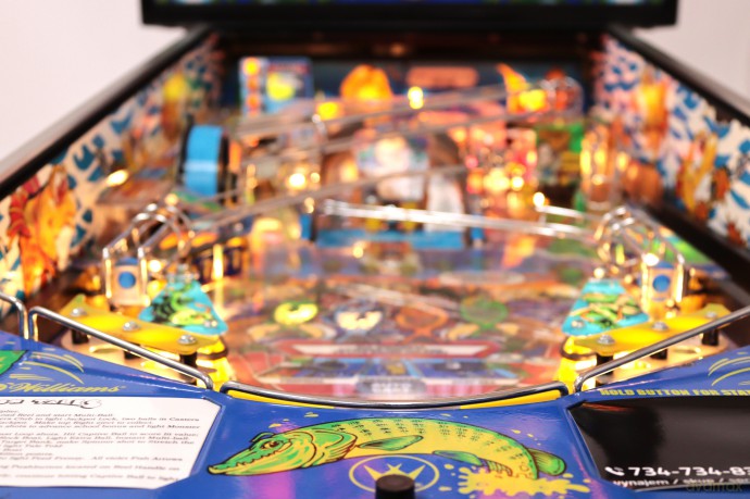 Fish Tales Flipper