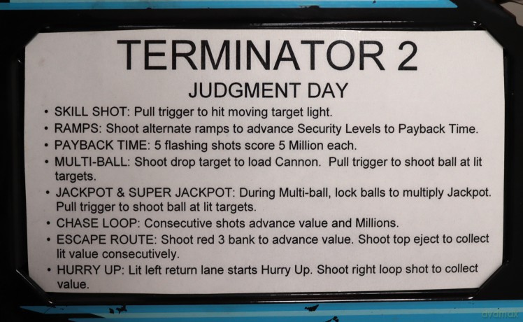 Terminator 2: Judgment Day Flipper