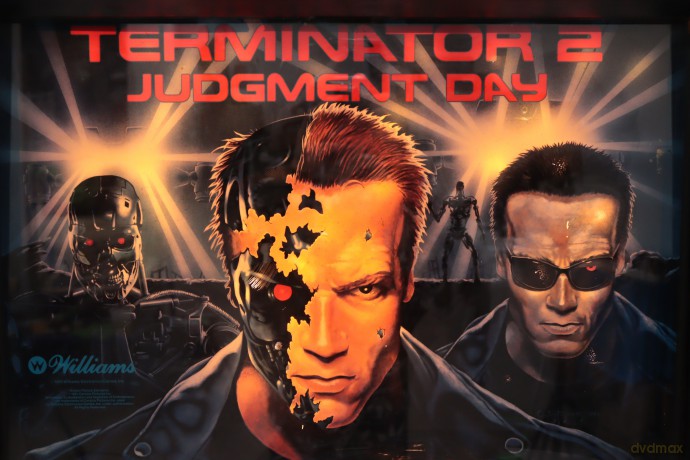 Terminator 2: Judgment Day Flipper