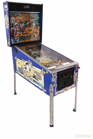 Gilligan's Island Flipper