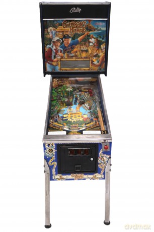 Gilligan's Island Flipper