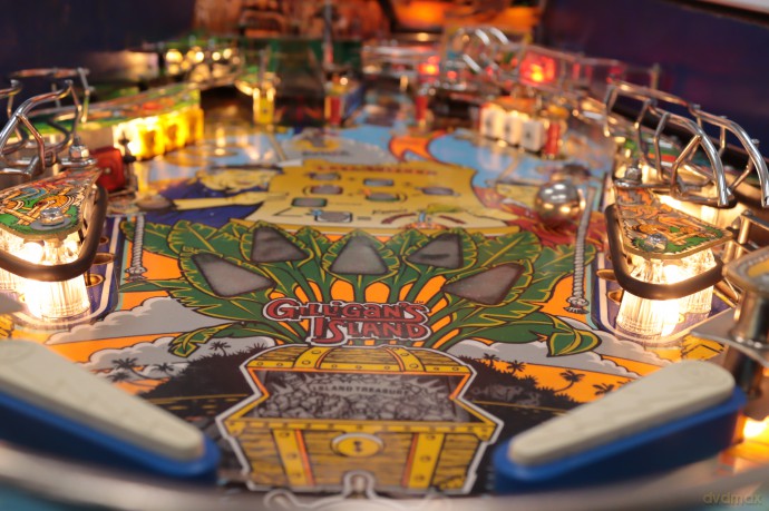 Gilligan's Island Flipper