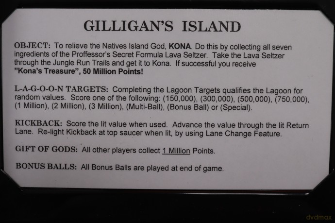 Gilligan's Island Flipper