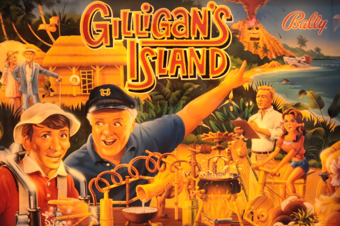 Gilligan's Island Flipper