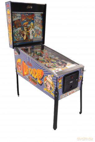 Dr. Dude Flipper