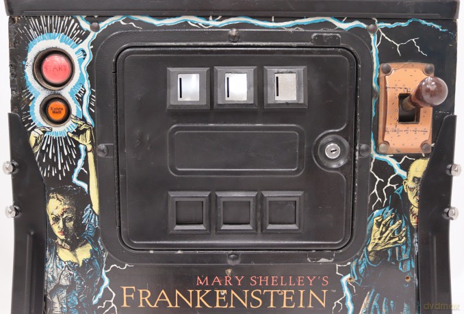Mary Shelley's Frankenstein Flipper