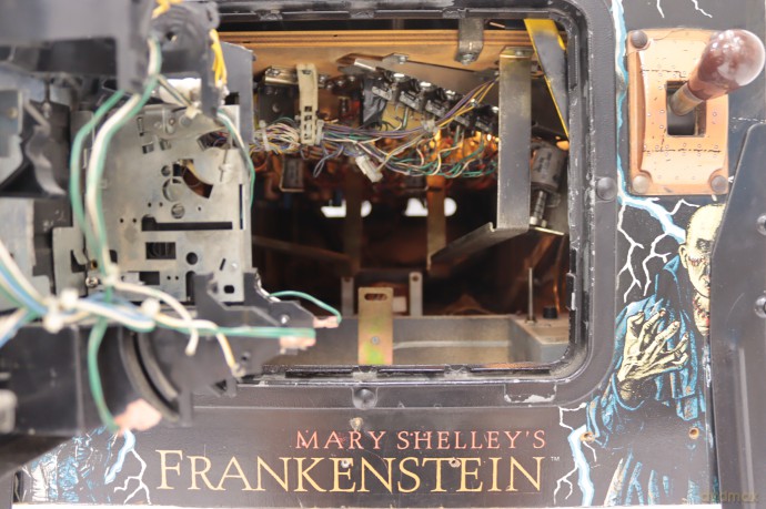 Mary Shelley's Frankenstein Flipper