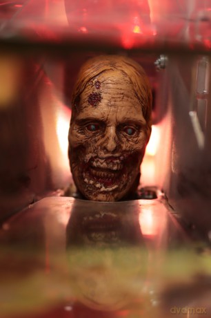 The Walking Dead Limited Edition Flipper