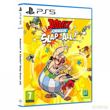 Asterix and Obelix: Slap them All!