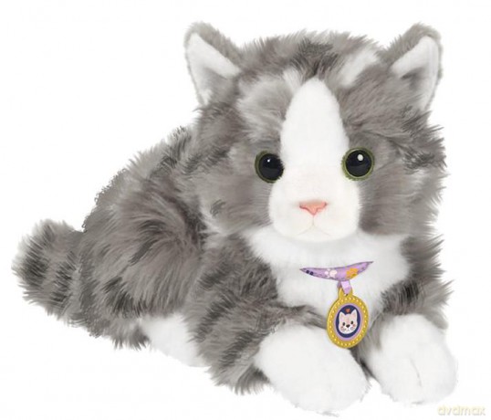 Baby Born - My Cat Cookie with Box - (837580)
