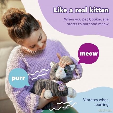 Baby Born - My Cat Cookie with Box - (837580)