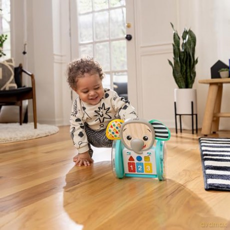 Baby Einstein - Chase & Tap Earla Crawl & Chase Toy - (BE-16923)