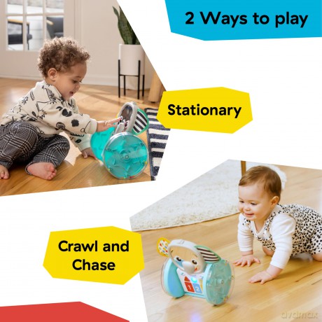 Baby Einstein - Chase & Tap Earla Crawl & Chase Toy - (BE-16923)