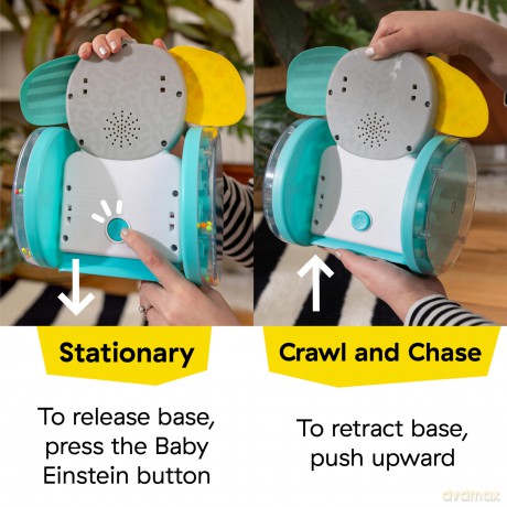 Baby Einstein - Chase & Tap Earla Crawl & Chase Toy - (BE-16923)