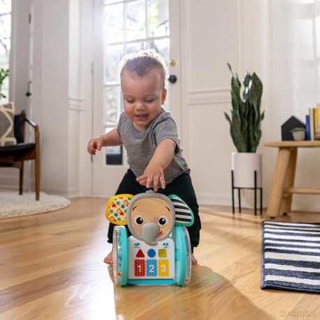 Baby Einstein - Chase & Tap Earla Crawl & Chase Toy - (BE-16923)