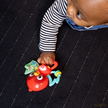 Baby Einstein - Roxy's Bright Flightâ˘ Musical Toy - (BE-16888)