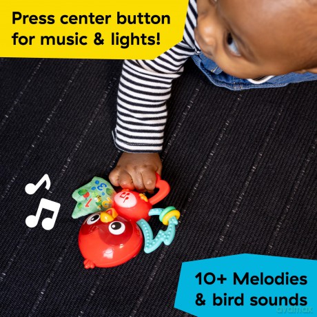 Baby Einstein - Roxy's Bright Flightâ˘ Musical Toy - (BE-16888)