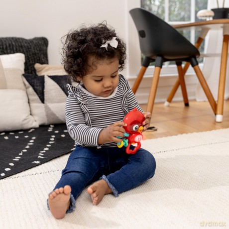 Baby Einstein - Roxy's Bright Flightâ˘ Musical Toy - (BE-16888)