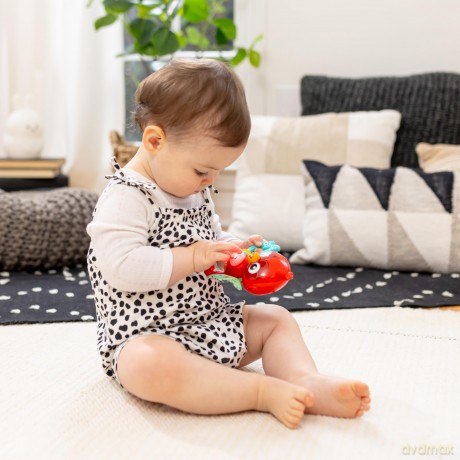 Baby Einstein - Roxy's Bright Flightâ˘ Musical Toy - (BE-16888)