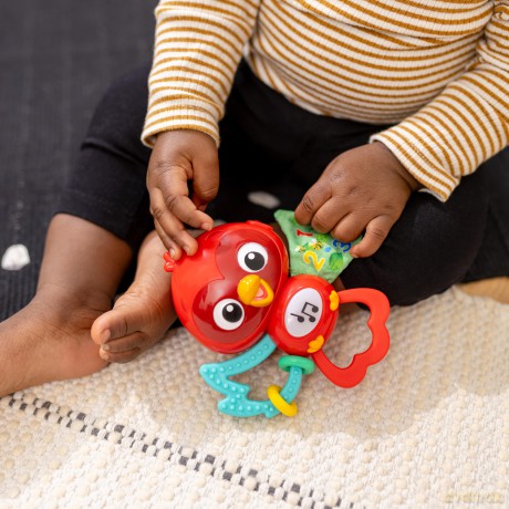 Baby Einstein - Roxy's Bright Flightâ˘ Musical Toy - (BE-16888)