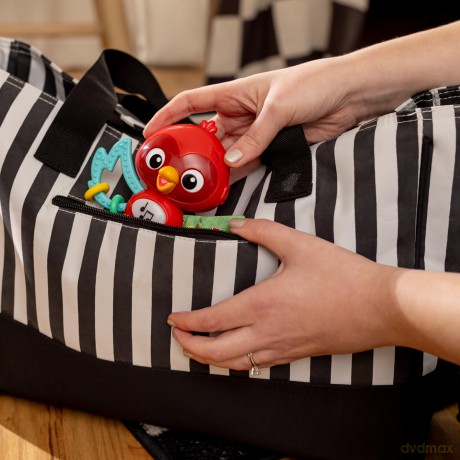 Baby Einstein - Roxy's Bright Flightâ˘ Musical Toy - (BE-16888)