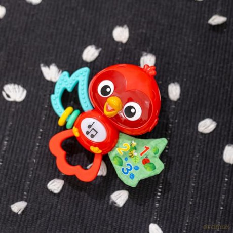 Baby Einstein - Roxy's Bright Flightâ˘ Musical Toy - (BE-16888)
