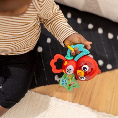 Baby Einstein - Roxy's Bright Flightâ˘ Musical Toy - (BE-16888)