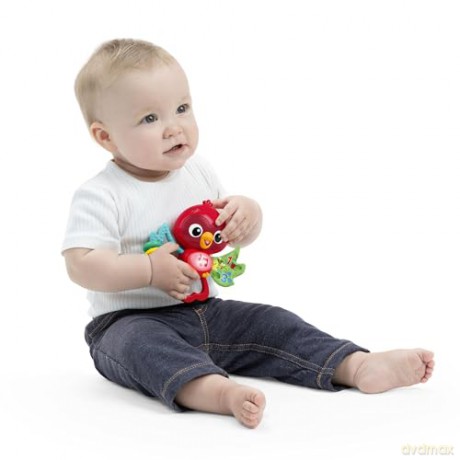 Baby Einstein - Roxy's Bright Flightâ˘ Musical Toy - (BE-16888)