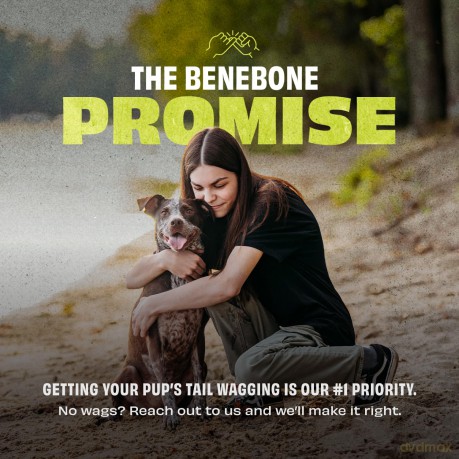 BENEBONE - Bounce Ball - 7cm