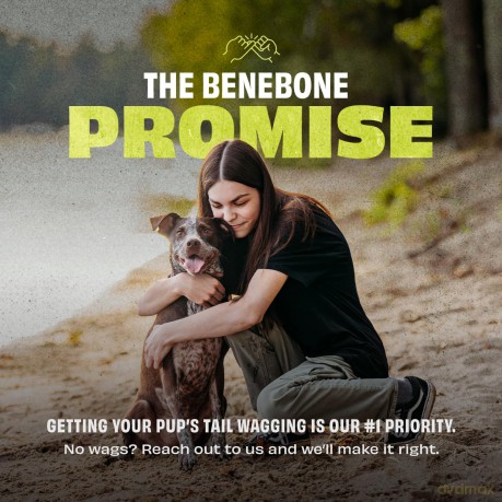 BENEBONE - Bounce Cone -12cm - Its unique cone shape and hidden inner compartments create an unpredictable rolling action