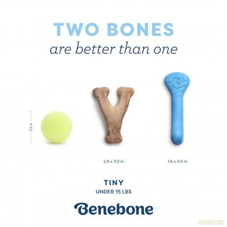 BENEBONE - Puppy 2-Pack Rubber Bone/Wishbone - Tiny