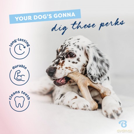 BENEBONE - Puppy 2-Pack Rubber Bone/Wishbone - Tiny