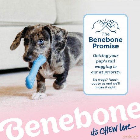 BENEBONE - Puppy 2-Pack Rubber Bone/Wishbone - Tiny