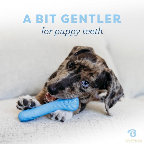 BENEBONE - Puppy 2-Pack Rubber Bone/Wishbone - Tiny