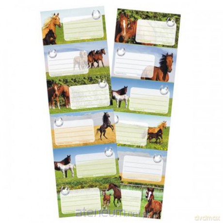 Naklejki na zeszyt Horses 25szt [SZKOŁA]