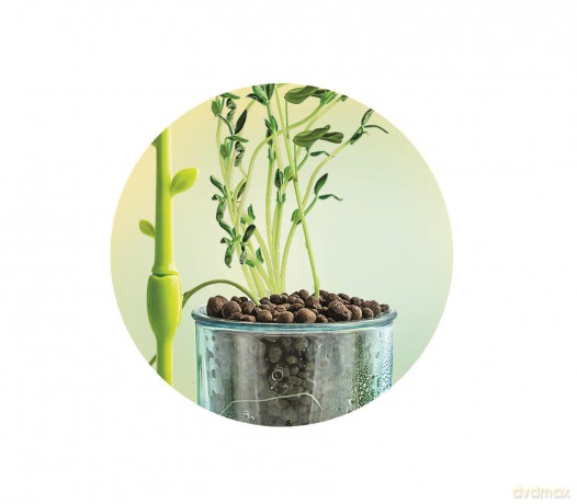 Clementoni - Mini Greenhouse - (I-78852)