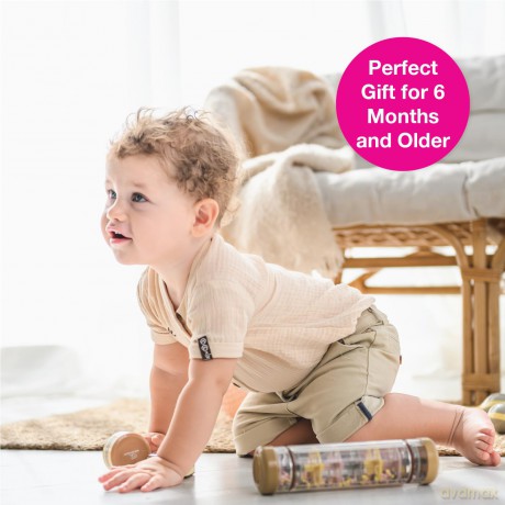 Edushape - Rainmaker - Musical Toy - 20 cm (E205121bc)