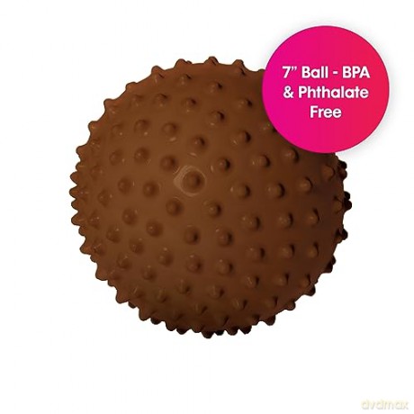Edushape - Sensory Ball - 18 Cm - Brown (E705176br)