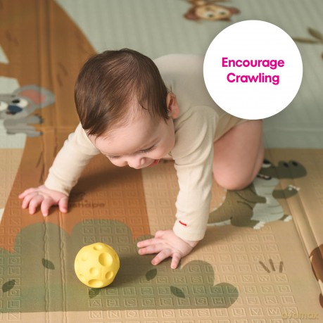 Edushape - Sensory balls - 6-pack (E705200bc)