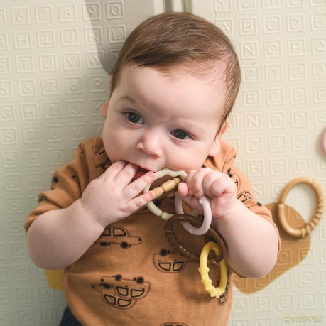 Edushape - Teethers - 12 pcs (E929001bc)