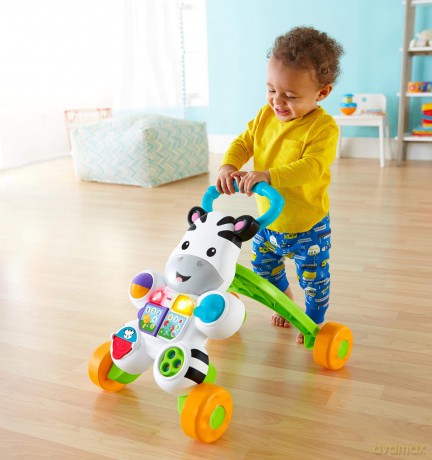 Fisher-Price Infant - Learn with Me Zebra Walker (DLD80)