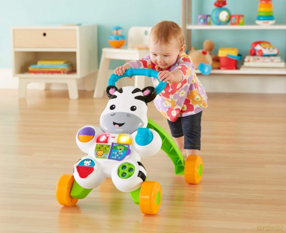 Fisher-Price Infant - Learn with Me Zebra Walker (DLD80)