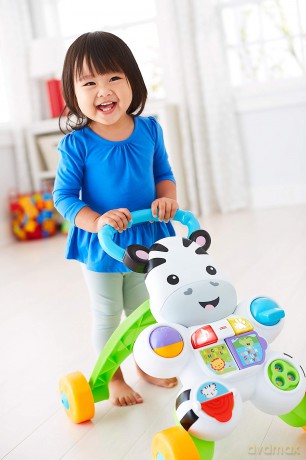 Fisher-Price Infant - Learn with Me Zebra Walker (DLD80)