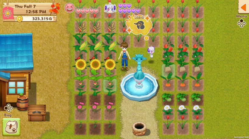 Harvest Moon: Light of Hope SE Complete