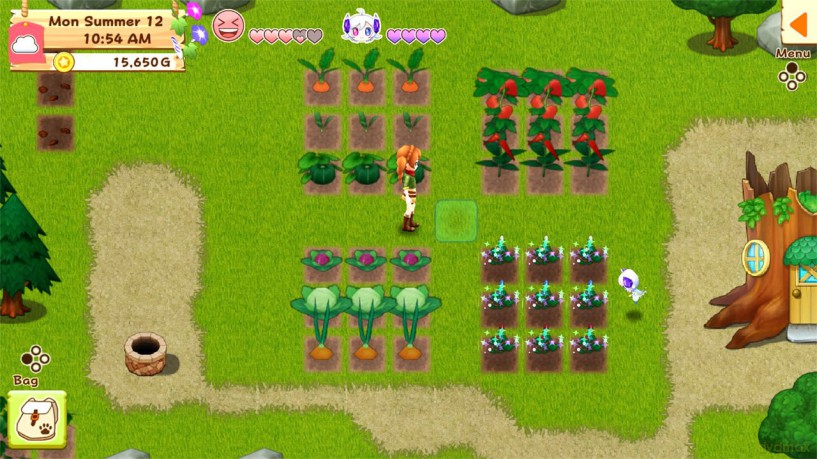 Harvest Moon: Light of Hope SE Complete