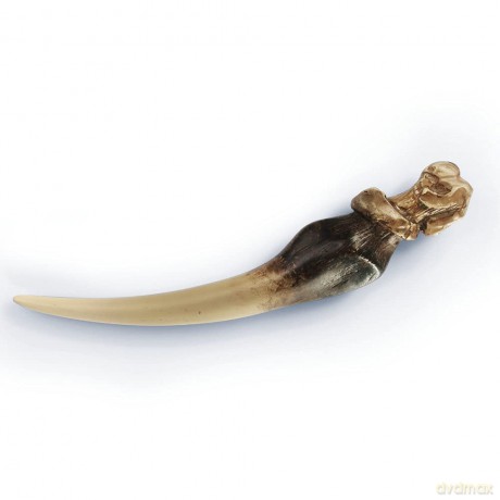 HP - Basilisk Fang and Tom Riddle Diary