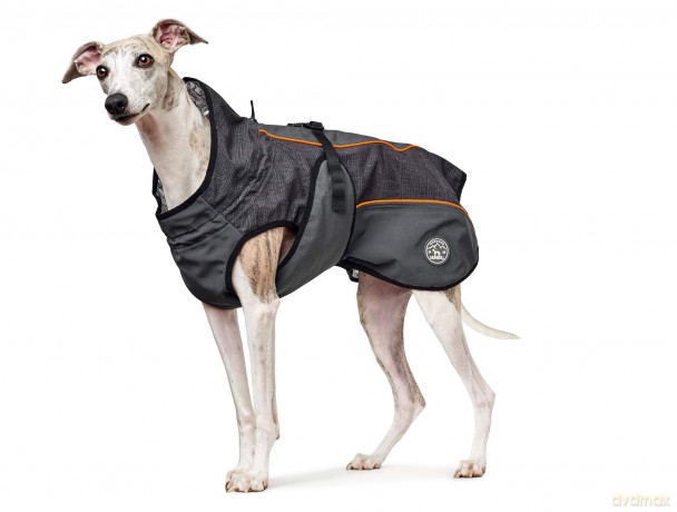 Hunter - Dog coat with Thermo 45cm - water-repellent, heat-reflecting thermofoil