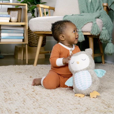 Ingenuity - Snuggle Sounds Nally Soothing Plush Toy (IN-12477)