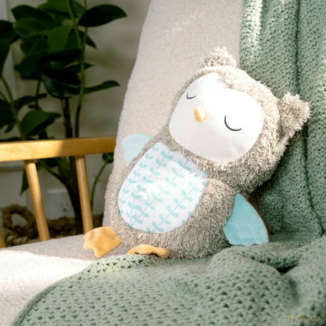 Ingenuity - Snuggle Sounds Nally Soothing Plush Toy (IN-12477)